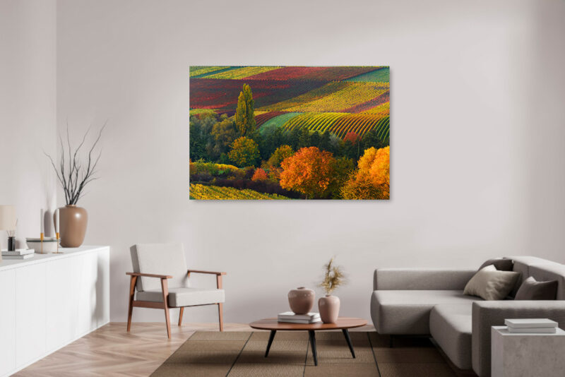 Herbstlich gefärbter Weinberg – Bild 2